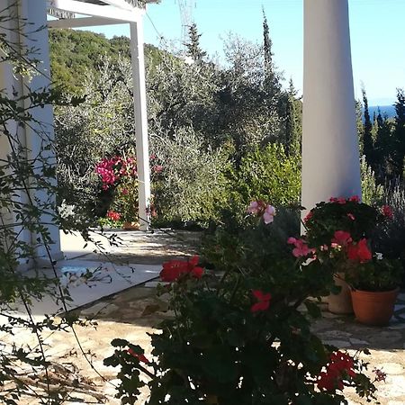 Villa Buras Skinária Exteriör bild