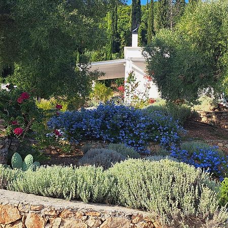 Villa Buras Skinária Exteriör bild