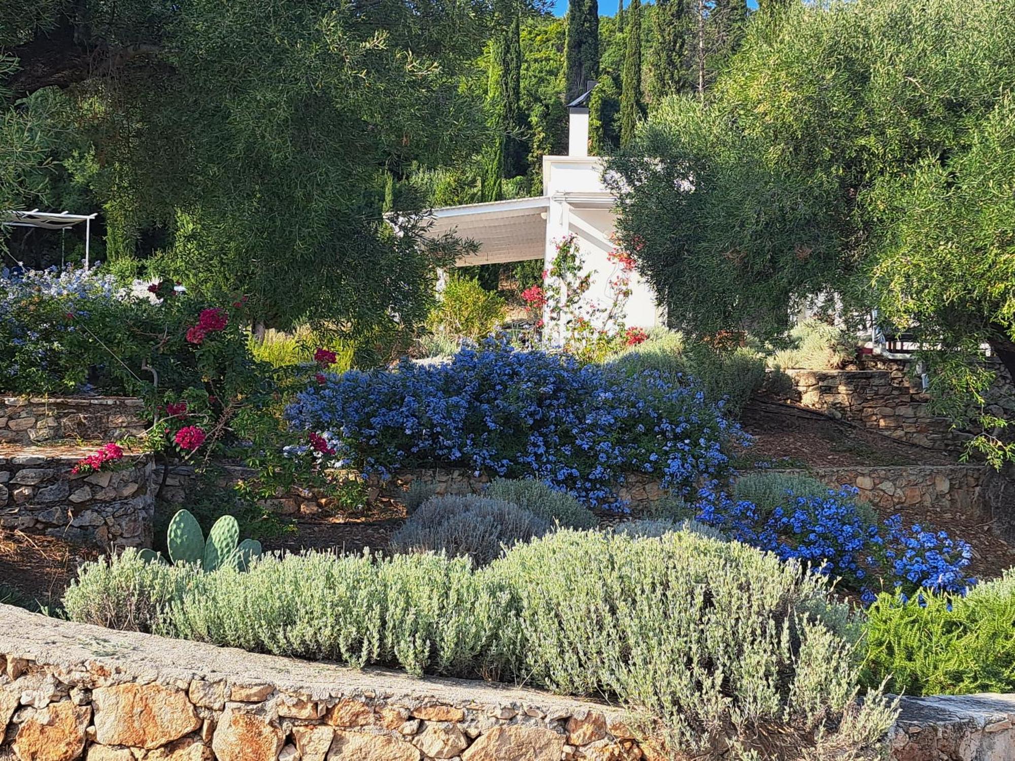Villa Buras Skinária Exteriör bild