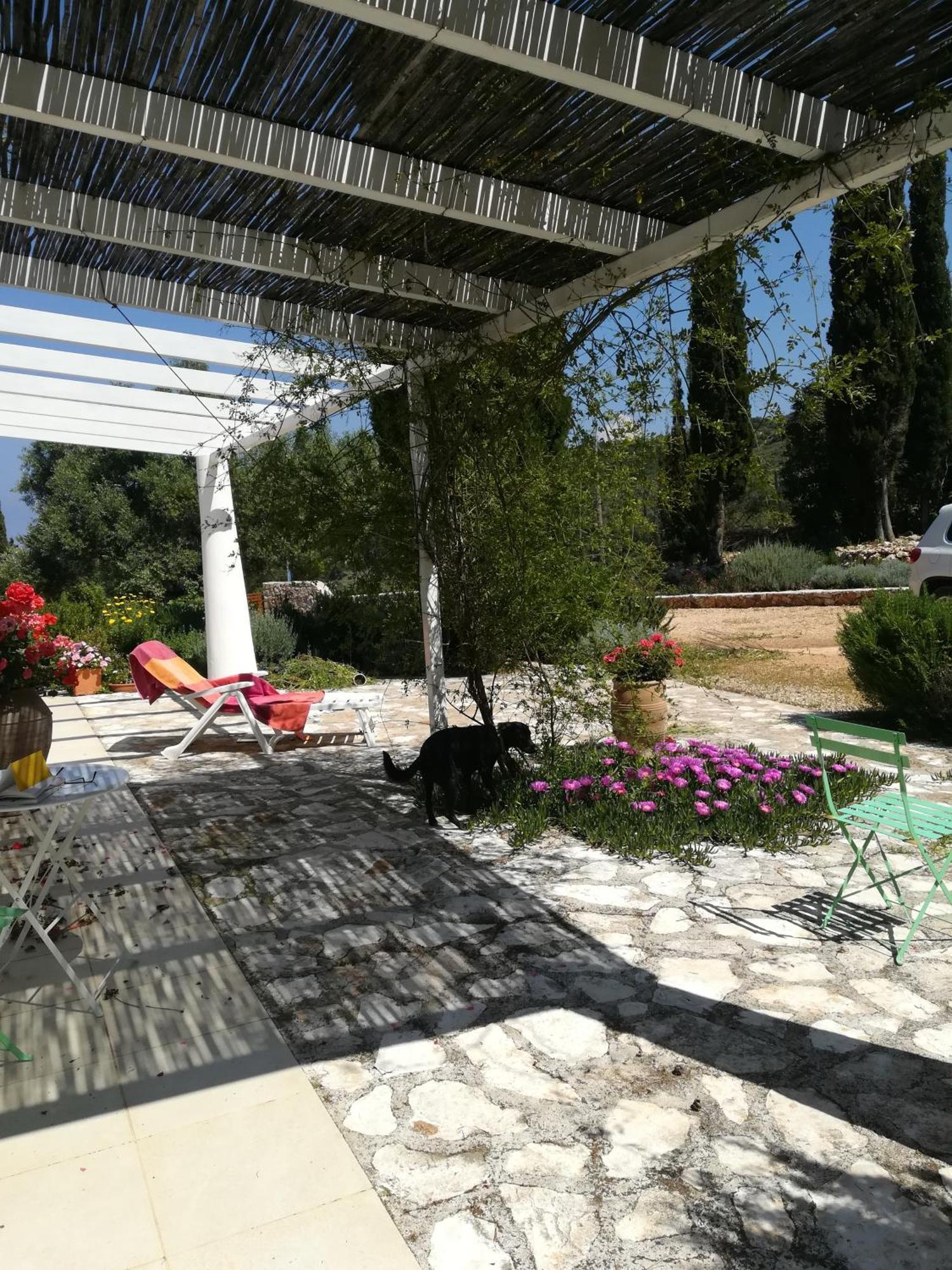 Villa Buras Skinária Exteriör bild