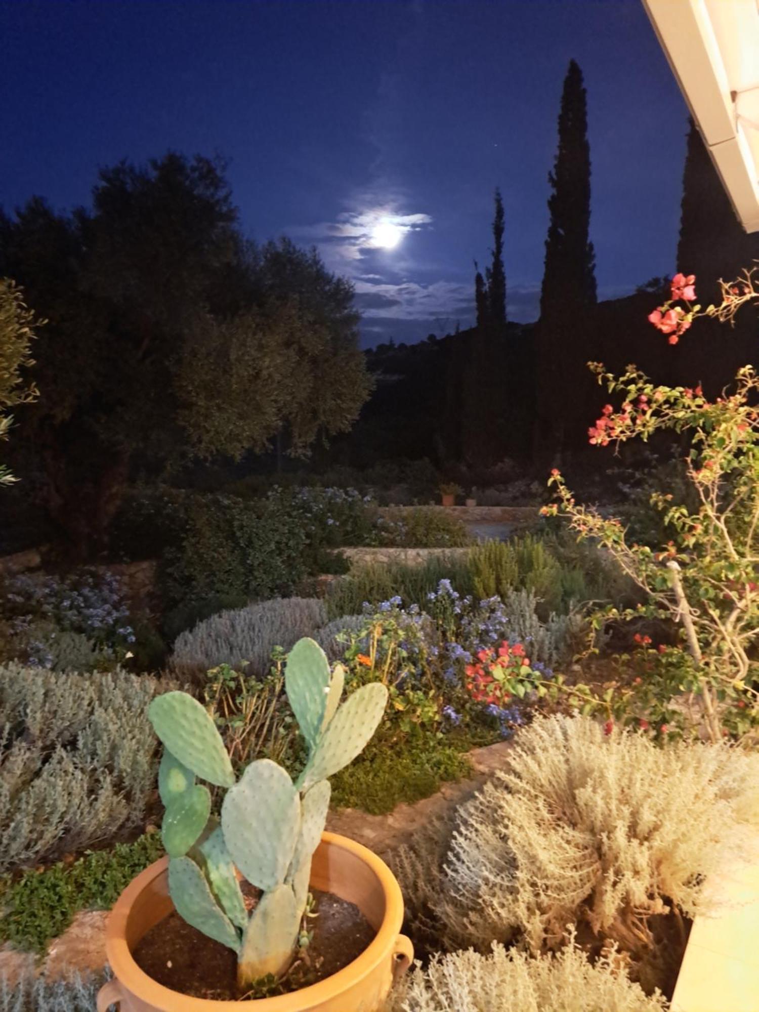Villa Buras Skinária Exteriör bild