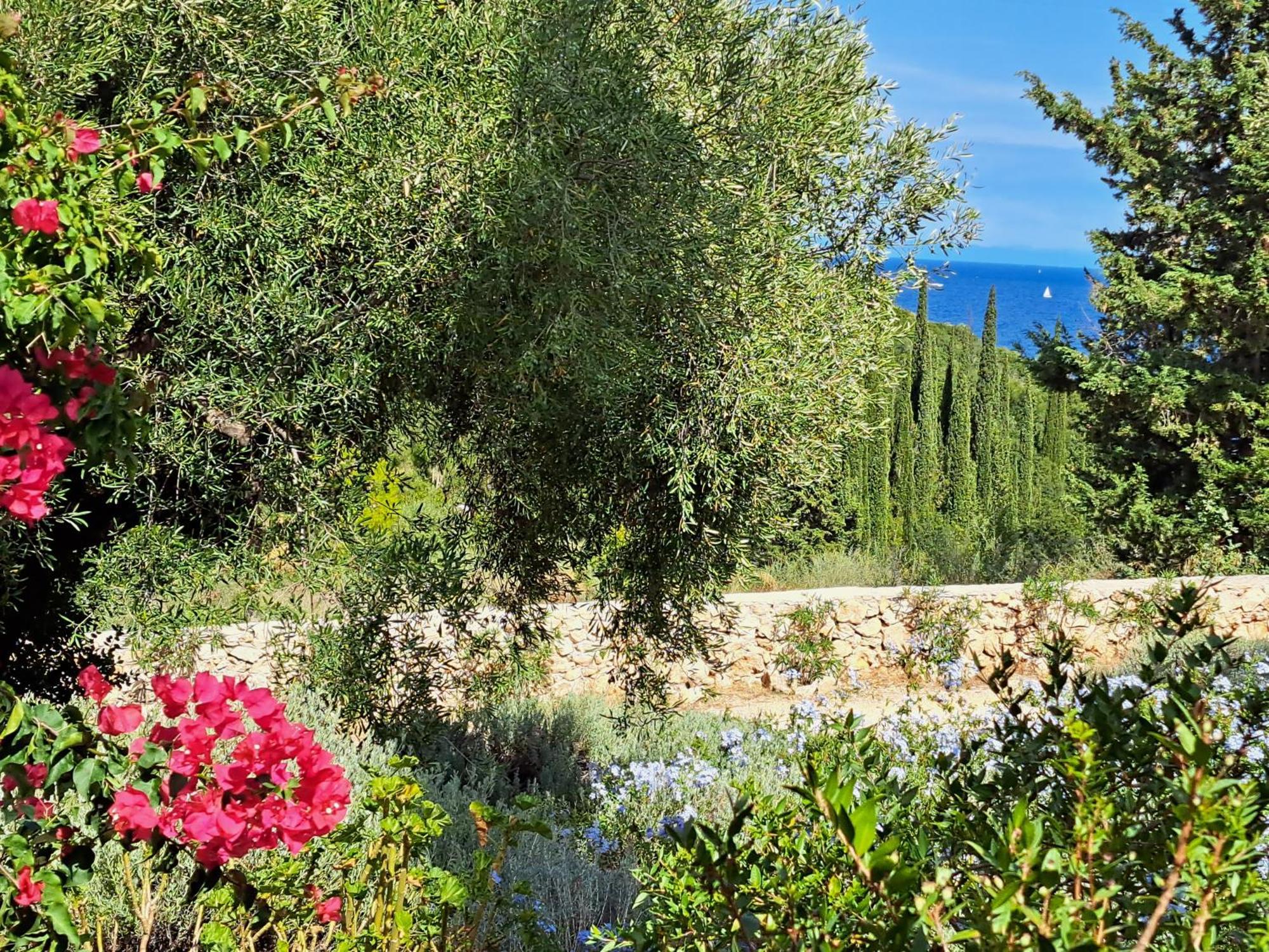 Villa Buras Skinária Exteriör bild